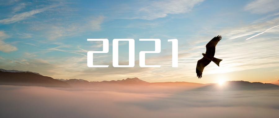 乘“峰”而上，智“盈”未來 ——2021年盈峰環(huán)境高級資深副總裁新年開工動員